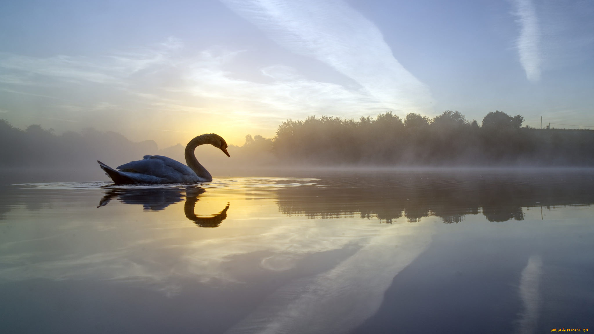 , , daisy, nook, country, park, england, , , , crime, lake, , , failsworth, , , , 